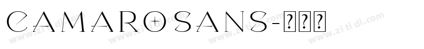 Camaro Sans字体转换
